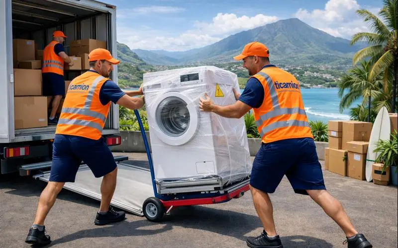 Transport professionnel à La Réunion